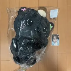 nctwish リク クリ ぬいぐるみ バッグ トレカ付き - メルカリ