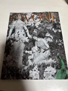PAVONE 第76号