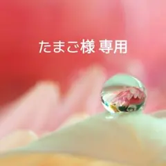 たまご様 リクエスト 2点 まとめ商品