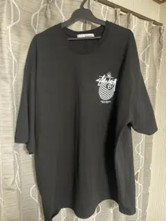 Stussy ロゴプリント Tシャツ 黒