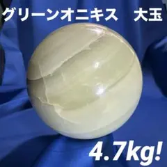 カメルーン産 ゴライヤスオオツノハナムグリ 94mm - メルカリ
