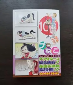 プ～ねこ(10)