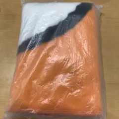 Item thumbnail for item 556c78b6-c298-4a96-bbe6-7b1d1508c1a7