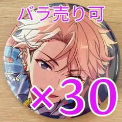鳴上嵐あんスタ コレクション缶バッジ 2025 Oct Idol 30個