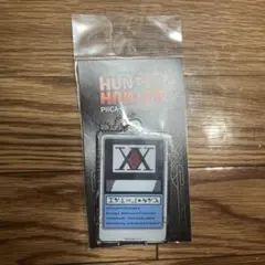 HUNTER×HUNTER PIICA+クリアパスケース