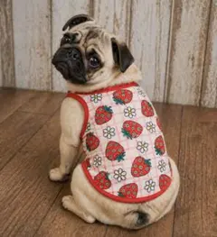 犬服ハンドメイド　タンクトップ(☺︎☺︎☺︎) 犬服ハンドメイド タンクトップ(Lune2003様 専用) - メルカリ