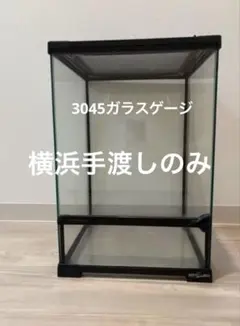 2026年最新】爬虫類ケージの人気アイテム - メルカリ