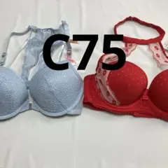 アモスタイル トリンプ レディース 下着 ブラジャー 2枚セット C75 95