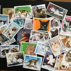 ゆうきゆう様 リクエスト 4点 まとめ商品