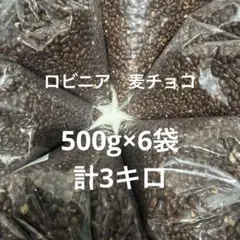 早い者勝ち‼️現品のみロビニア アウトレット　麦チョコ500g×6袋　計3キロのサムネイル