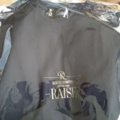 KOICHI DOMOTO RAISE Tシャツ