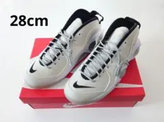 ナイキ　エアズームフライト 95