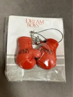 DREAM BOYS 2014 ストラップ