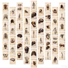 Item thumbnail for item 61654b25-0f80-43c5-ae42-3b2dcfb0df94