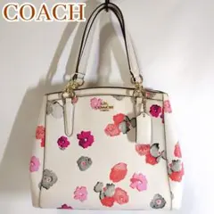 コーチ ミニ クリスティー キャリーオール 2WAY　型番F55539