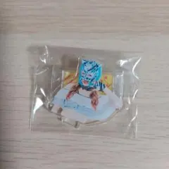 スターダム スポーツ選手