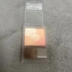 キャンメイク グロウフルールチークス B01