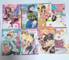 BL 文庫小説 まとめ売り 8冊セット 木原音瀬 砂原糖子 崎谷はるひ 他