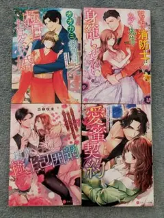 エタニティ文庫の恋愛小説4冊セットです。