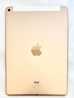 iPad Air2 32GB ゴールド セルラー 動作確認済【限定値下げ】