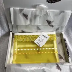 【極美品】近沢レース　ファスナーポーチS カリン　イエロー