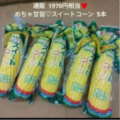 もーちゃん様 専用 北海道産 黄・白いとうもろこし60本セット