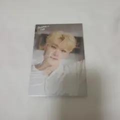 新品未開封 SEVENTEEN Cafe 2023 ディノ ポストカード