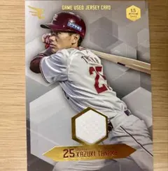 Item thumbnail for item 2973c474-a174-4745-84c1-e7becb36e9e2