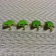 Item thumbnail for item 3f5412a6-81c7-4dec-8de2-4ef8fbade7e5