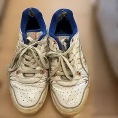 kith asics Ronnie Fieg EX89