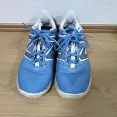 Item thumbnail for item 95df0373-f211-4348-a570-441dc77eba4d