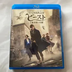 ファンタスティック・ビーストと魔法使いの旅 ブルーレイ&DVDセット('16英…