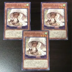 遊戯王 WAKECUP!モカ ノーマル 3枚組 DUAD-JP028