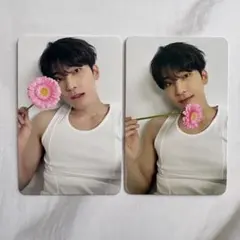 SEVENTEEN ウォヌ カード2枚セット