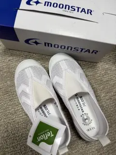 Item thumbnail for item c108fc15-10db-4360-975d-efd77f5025a0