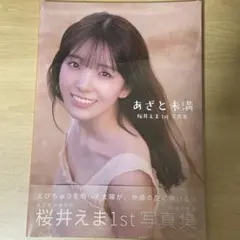 新品未開封　桜井えま1st写真集 あざと未満