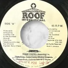 レゲエ WHO ARE YOU LADY G / Freedom Blues