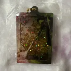 WICKED ウィキッド　ガチャ　グリンダ　エルファバ