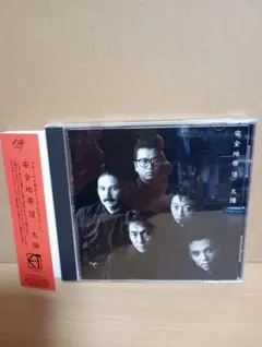 安全地帯 VIII 太陽