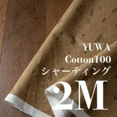 Yc02-1◆2M◆YUWA◆綿100シャーティング◆英字◆ブラウン
