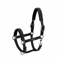 VARIORA Holt ホルト サスペンダー 定価12800円 ナス鐶タイプ - メルカリ