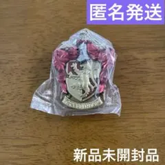 新品未開封品 ハリーポッター グリフィンドール キーホルダー ミラー付き
