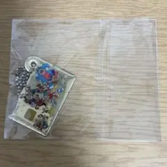 ディズニー JCBカード ミニチュアアメタルチャーム レトロ ミッキー＆フレンズ