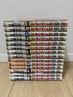 あ*る様 新世紀エヴァンゲリオン 全巻セット【14巻】