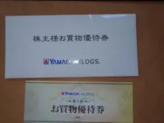 ヤマダホールディングス お買物優待券 　500円10枚