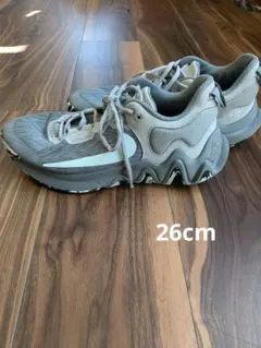 Item thumbnail for item c2e9fdf6-c116-4266-b514-8ac6cb5f2a1e