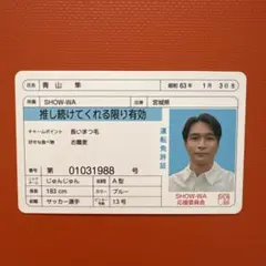 2026年最新】青山隼の人気アイテム - メルカリ