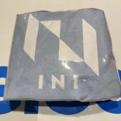 GIGO限定プライズ完全非売品 INI トートバッグ　単品