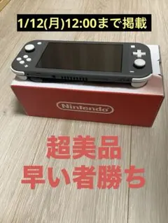 ✨超美品✨Nintendo Switch Lite グレー 本体