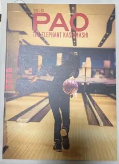 2025年最新】エレファントカシマシ paoの人気アイテム - メルカリ